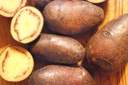 Shetland Black Vintage Potatoes