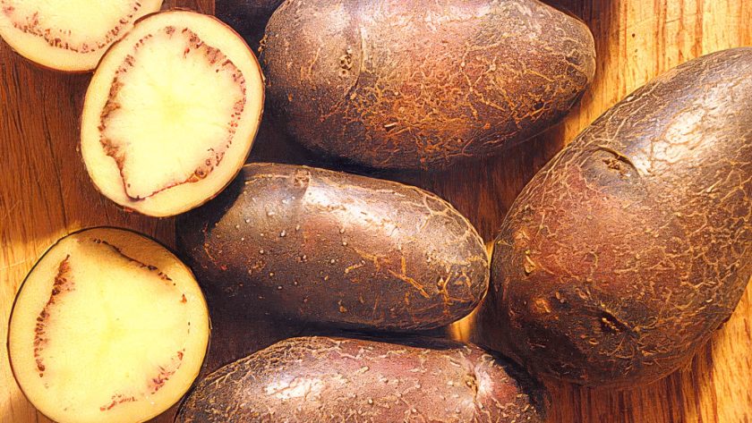 Shetland Black Vintage Potatoes