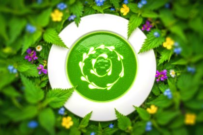 Stinging Nettle Soup