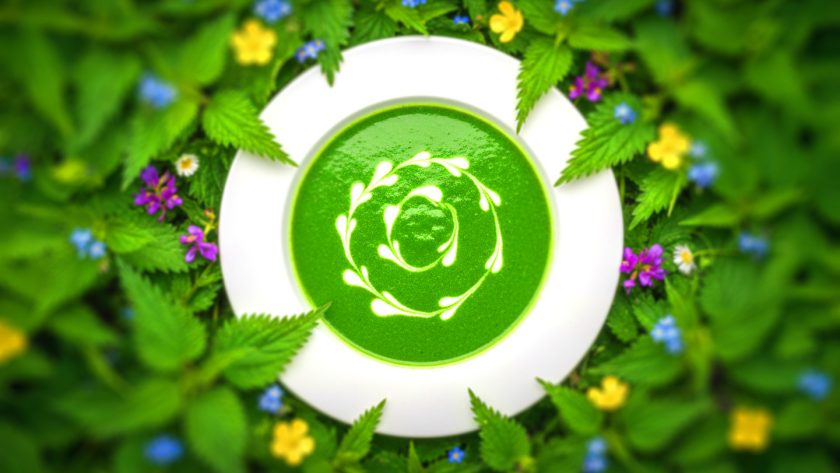 Stinging Nettle Soup