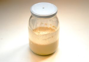 Making a Sourdough Starter