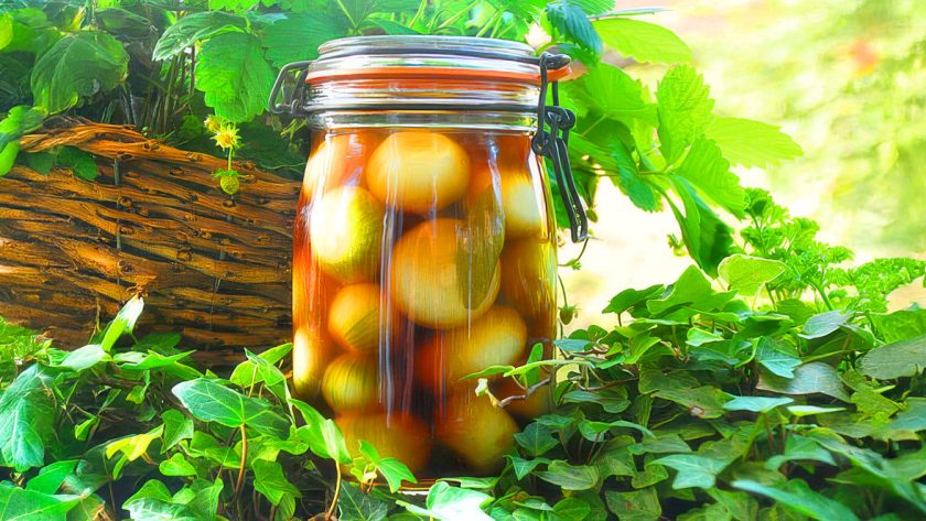 Pickled Onions
