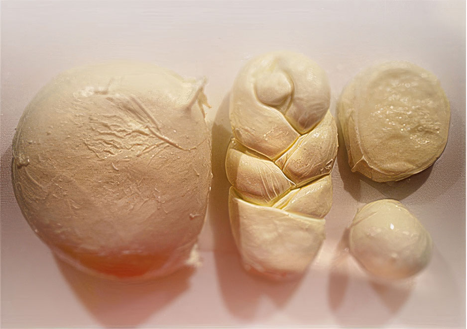 Mozzarella