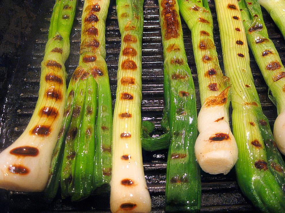 Griddled Spring Onions with Harissa