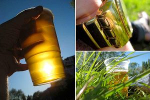 A few premium priced pints at The Palm