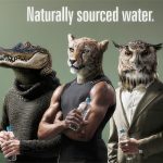 Natural Hydration Council