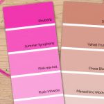 Savoury Rhubarb Soup