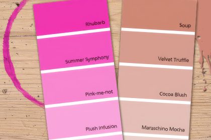 Savoury Rhubarb Soup