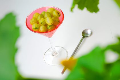 Gooseberry Sorbet