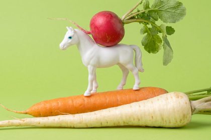 Carrot, Parsnip & Horseradish Gratin