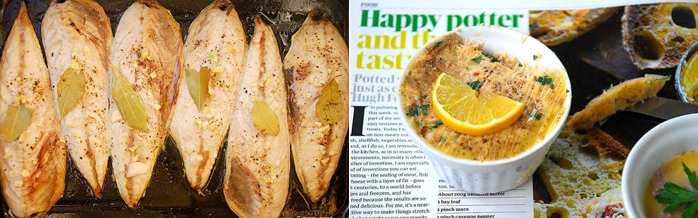 Potted Mackerel