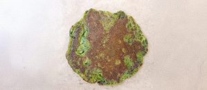 green pancake