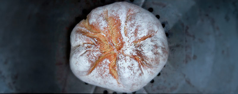 Honeyed White Loaf