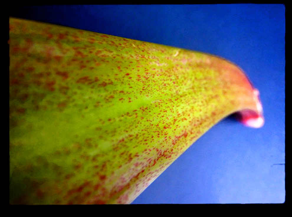 Honey Roasted Rhubarb