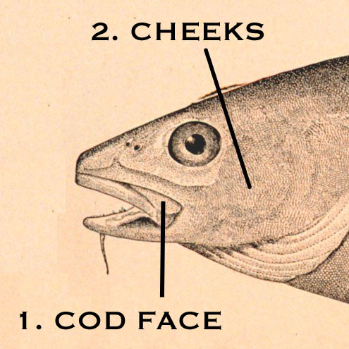 Cod face