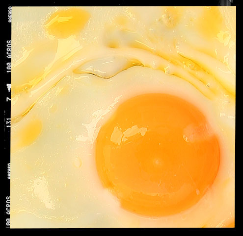 Fried egg