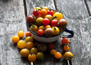 tomatoes-temp